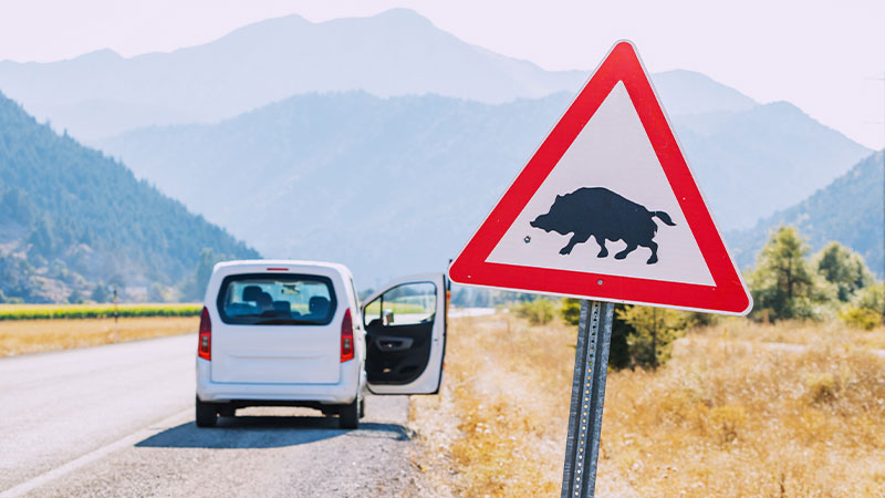 Segnale stradale: pericolo animali selvatici